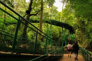 Forest Walk Baksil, Obat Penyembuh Penat di Bandung