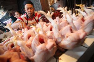 Harga Ayam Potong di Cirebon Naik, Rp32.000 per Kg