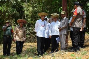 Wacana Ibu Kota Baru di Segitiga Emas Kalimantan Tengah