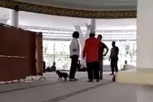 Polres Bogor Tangani Kasus Pembawa Anjing ke Masjid