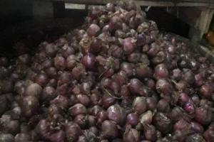 Konsumsi Meningkat, Harga Bawang di Cianjur Naik