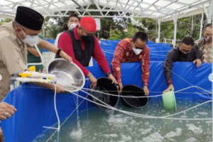 Dorong Produktivitas Budidaya Ikan, Pemkab Kukar Berikan Bantuan Kolam Bioflok