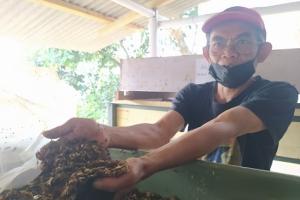 Tekan Biaya Pembuangan Sampah, Pemkot Cimahi Dorong Budidaya Maggot