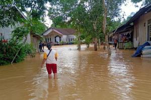 Calon Ibu Kota Negara Baru Banjir, 101 Rumah Terendam