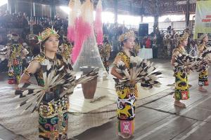Dua Tradisi Adat dari Tabang Masuk Kutai Kartanegara Kaya Festival