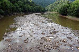 Diduga Tercemar Limbah, Pemkab Bekasi Turun Tangan Bersihkan Air Kali Sadang