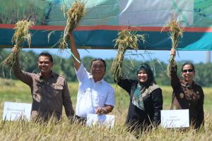 Jaga Ketahanan Pangan, Pemprov Banten Siapkan 1.348 Ton Beras