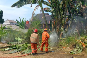 Masyarakat Depok Diimbau Waspada Kebakaran Lahan Dampak El Nino