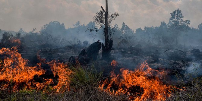 BPBD: Pembahasan Areal  Terbakar Gunung Ciremai Selesai