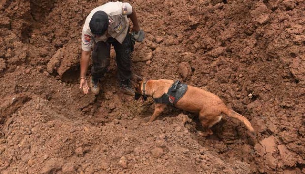 Hari Ke-3 Pencarian Longsor Sukabumi, 2 Anjing Pelacak Dikerahkan