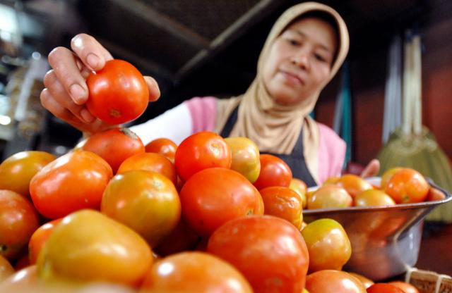 Harga Tomat Capai Rp8.500 per Kg di Cianjur, Ini Sebabnya