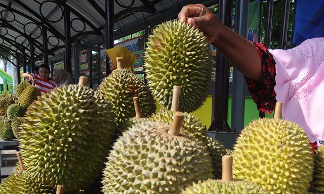 Kunjungi Garut, Pecinta Durian Disarankan Singgah ke Tempat Ini
