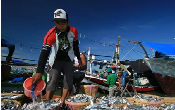 Cegah Nelayan dari Tengkulak, Program Gudang Ikan Disiapkan