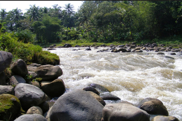 Sungai Cibala - Cianjur Meluap! Banjir dan Longsorpun Datang