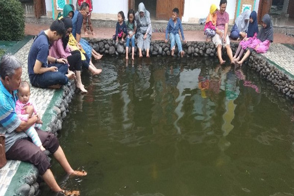 Relaksasi Terapi Ikan di Halaman Masjid Iqro Garut 