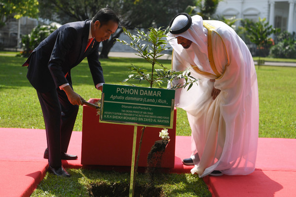 Putra Mahkota Abu Dhabi Tanam Pohon Damar di Istana Bogor