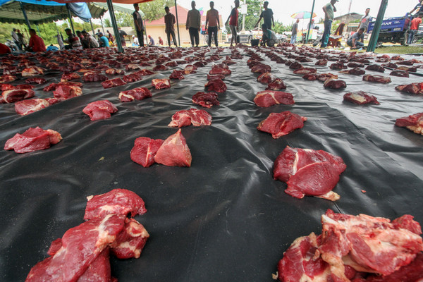 Sembelih 22 Kurban, Pemkab Cianjur Bagikan Paket Daging 