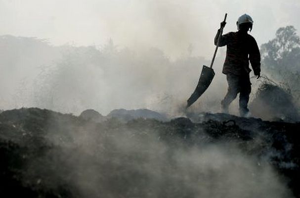 Kebakaran Hutan di Cigadog Berpotensi Kembali Terjadi 