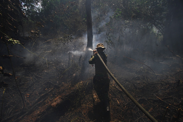 Musim Kemarau di Purwakarta, Lebih Dari 300 Hektare Hutan Kebakaran