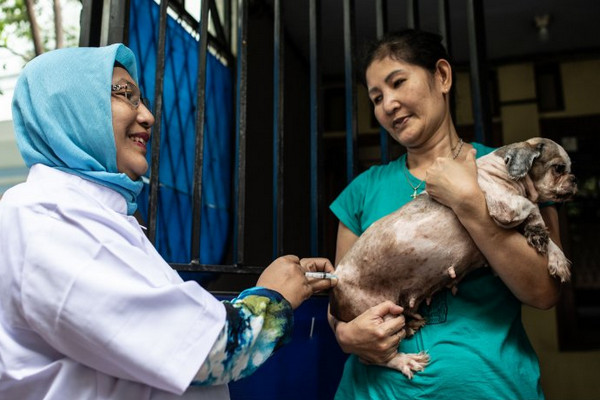 Sebanyak 2.759 Hewan di Cianjur Divaksin Rabies