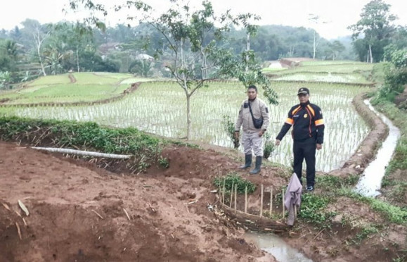 Sawah di Cianjur Terancam Gagal Panen Akibat Pergerakan Tanah