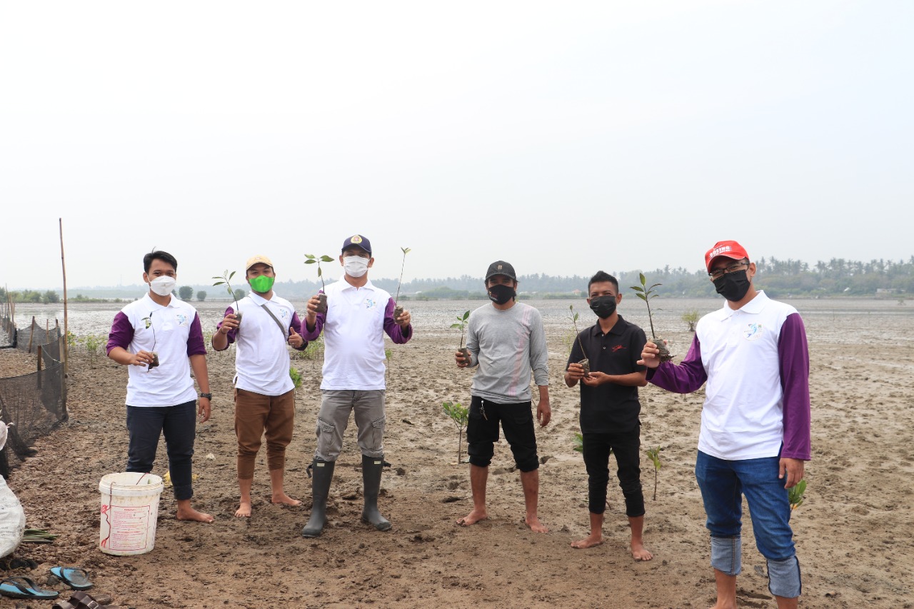 Pesisir Kab. Tangerang Alami Abrasi, Pemkab Tangerang Tanam 2.000 Mangrove