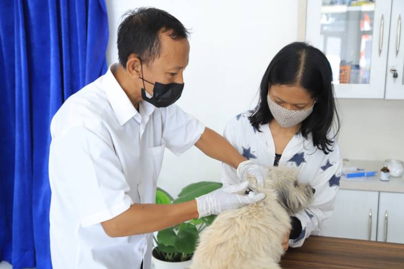 Catat! Ini Jadwal Vaksinasi Rabies Gratis Kota Tangerang