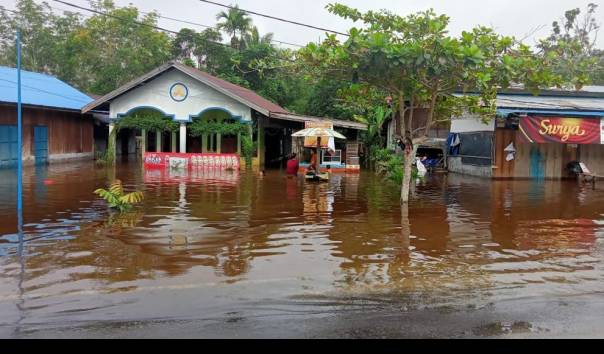 Banjir Rendam 3.642 Rumah di Gunung Mas Kalteng