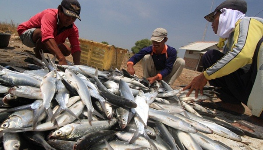 Nelayan dan Pembudidaya Ikan Kab. Tangerang Terima Bantuan 