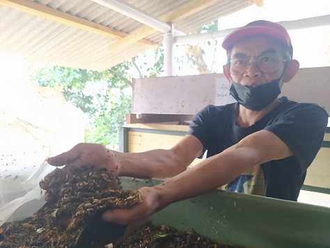 Tekan Biaya Pembuangan Sampah, Pemkot Cimahi Dorong Budidaya Maggot