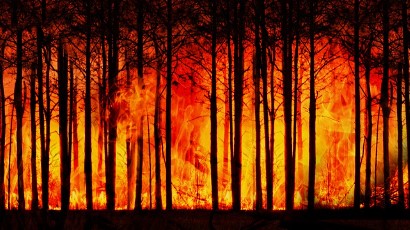 48,53 Hektare Hutan dan Lahan di Gunung Ciremai Terbakar