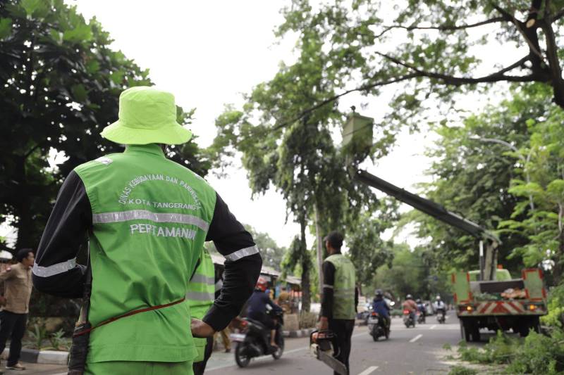 Disbudpar Kota Tangerang Siapkan Santunan hingga Rp50 Juta bagi Korban Pohon Tumbang